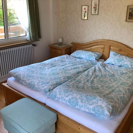 Gaestehaus Lickert Ferienwohnung Sued Feldberg 欣特察尔滕 外观 照片