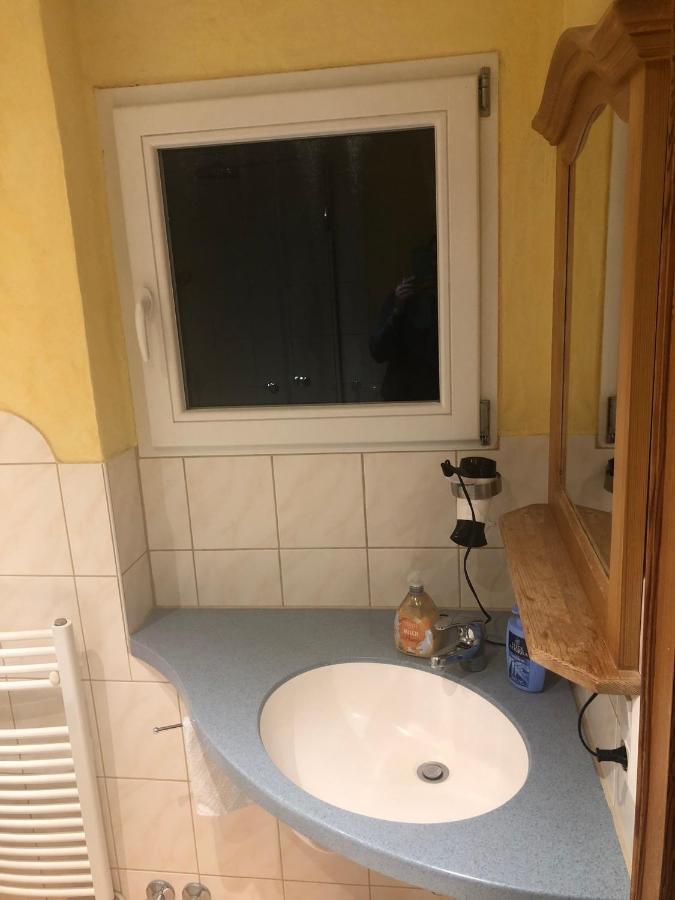 Gaestehaus Lickert Ferienwohnung Sued Feldberg 欣特察尔滕 外观 照片